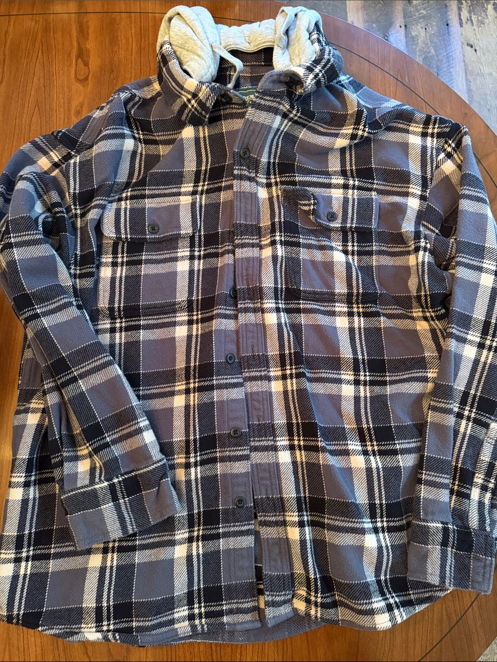 American Eagle Outfitters Blue and White Plaid Hooded Button-Down Shirt